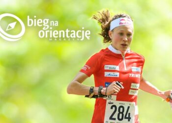 Magazyn bieg na orientację