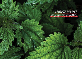 Nowy bieg na orientację już w empikach!